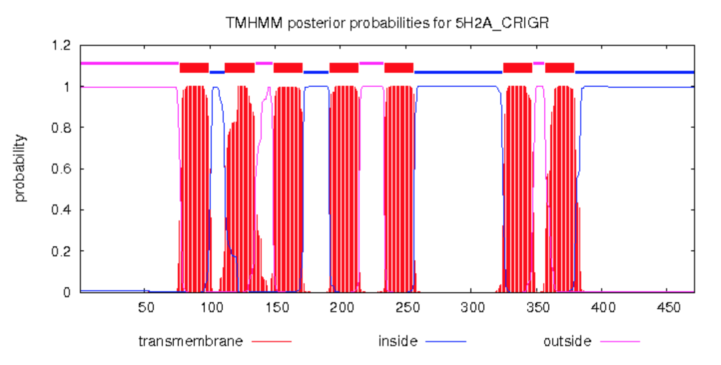 Thmm Graph Transcriptome Annotation